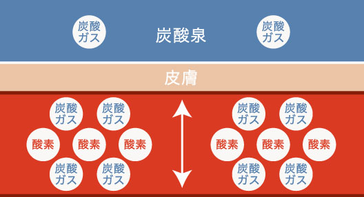 炭酸泉入浴経過後